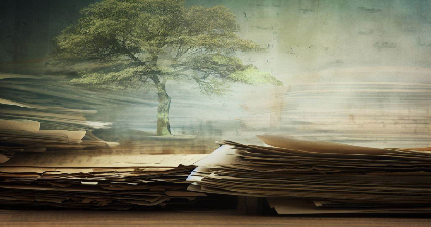 Arbre Généalogique et documents de famille