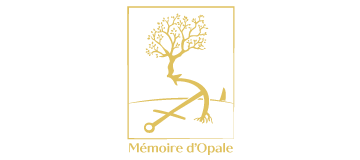 cropped-banniere-memoire-opale-v3-1.png