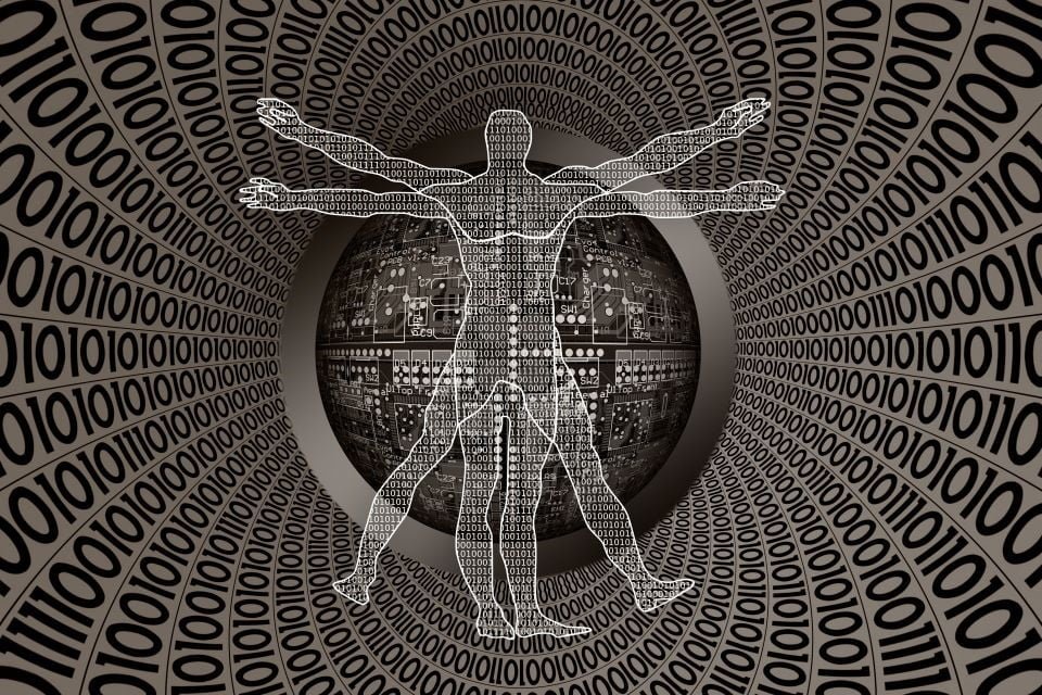 Numérotation d'individu