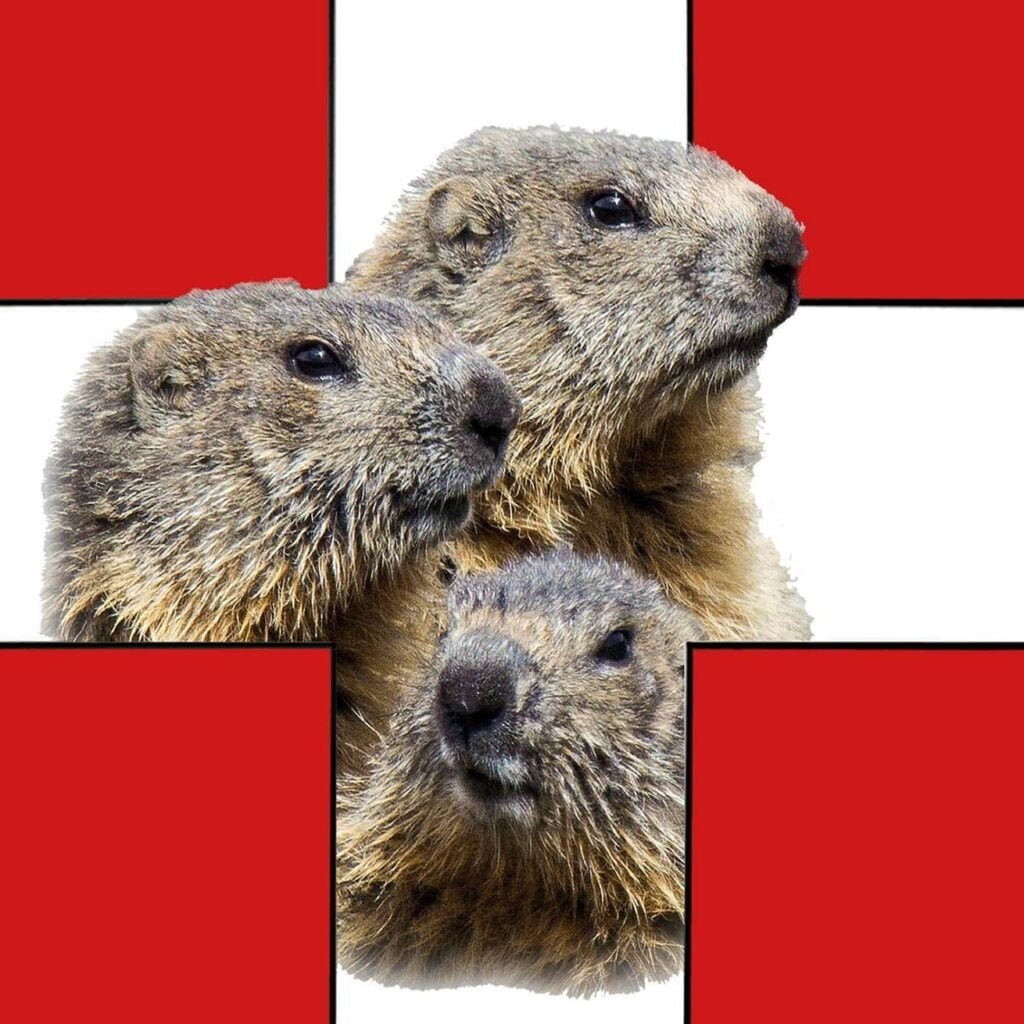 lesmarmottesdesavoie