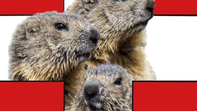 lesmarmottesdesavoie