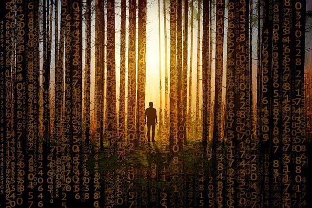 Arbre numérique binaire