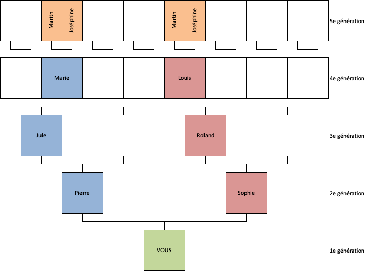 implexe dans un arbre généalogique