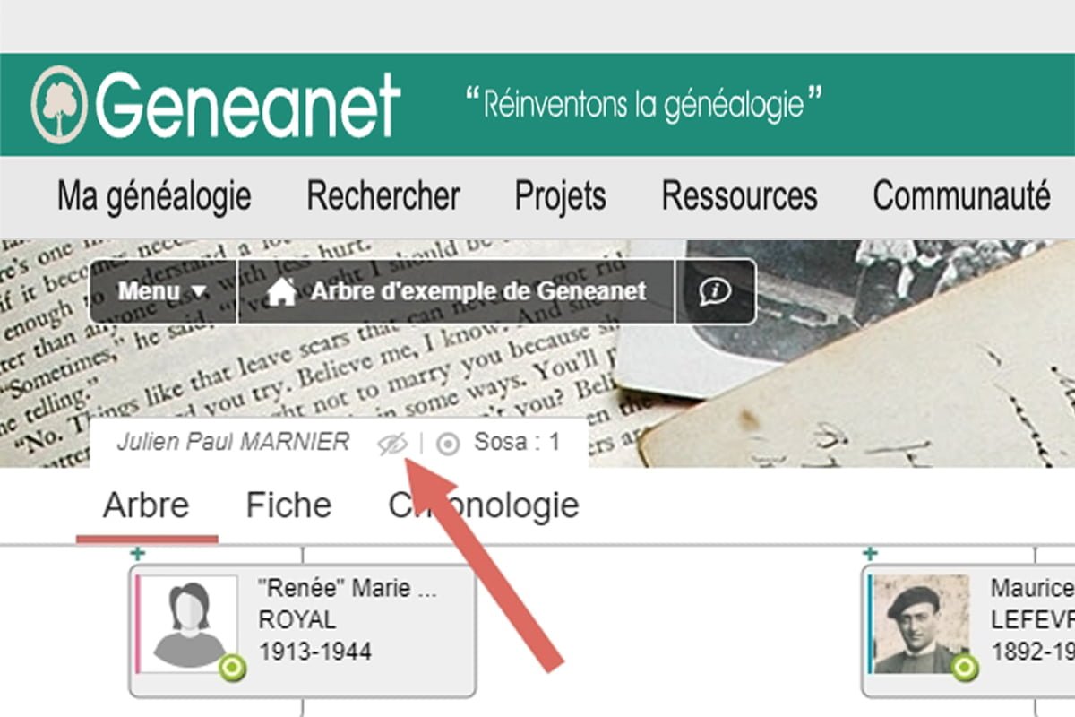 Geneanet : de nouveaux réglages de confidentialité pour votre arbre
