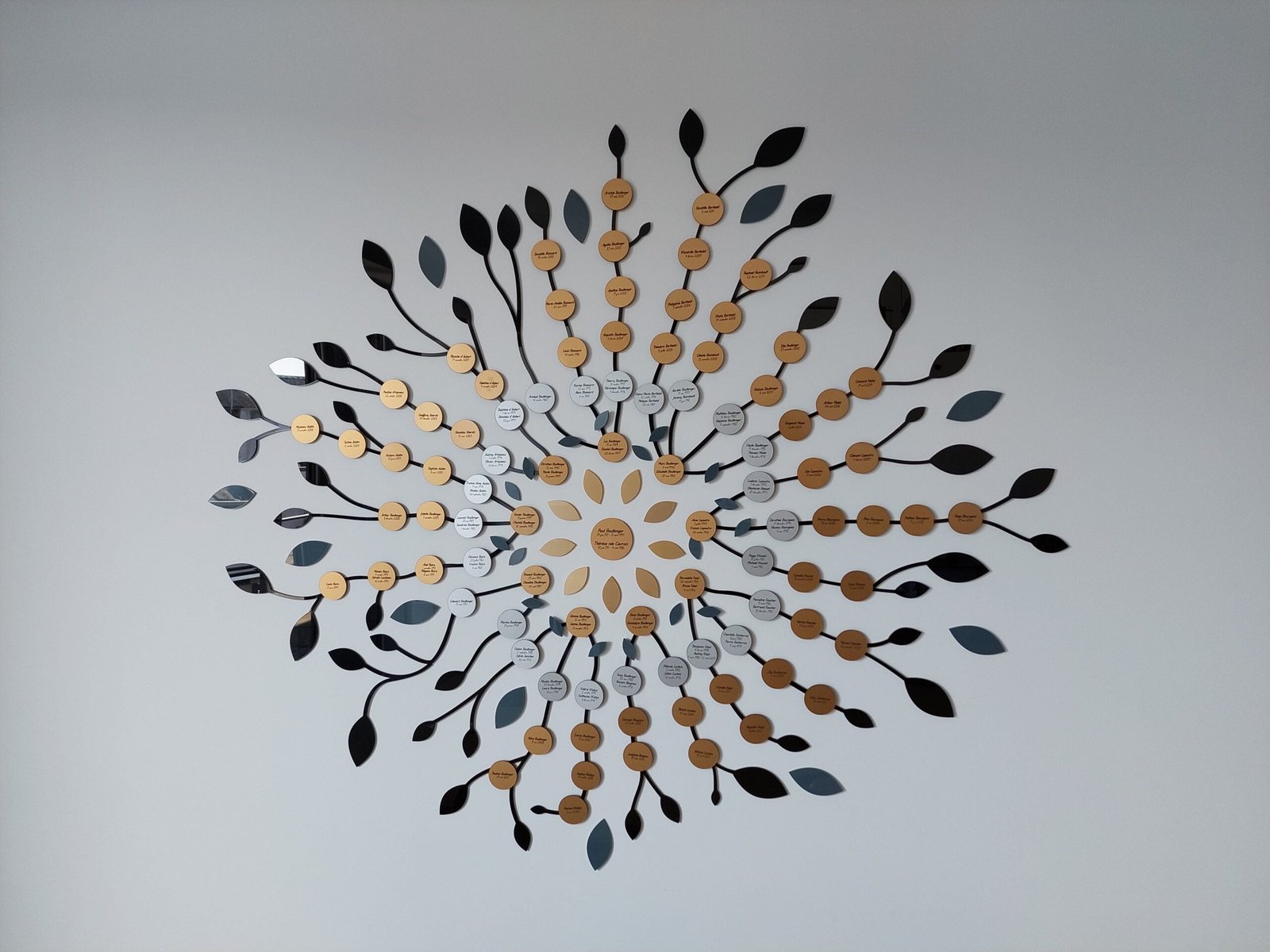  ​Les montages en plexiglas de Pierre Santacruz