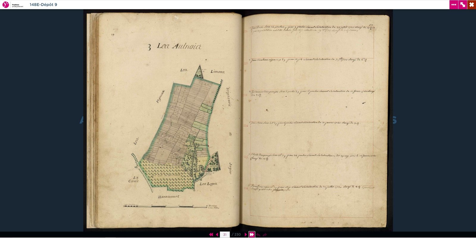  ​Les Archives des Yvelines mettent en ligne un nouveau terrier